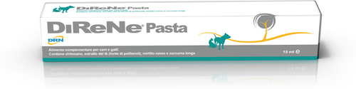 Direne pasta Papildai šunims ir katėms esant inkstų nepakankamumui 15ml