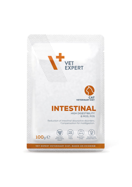 VetExpert Veterinary Diet Intestinal cat with chk 100g pouch