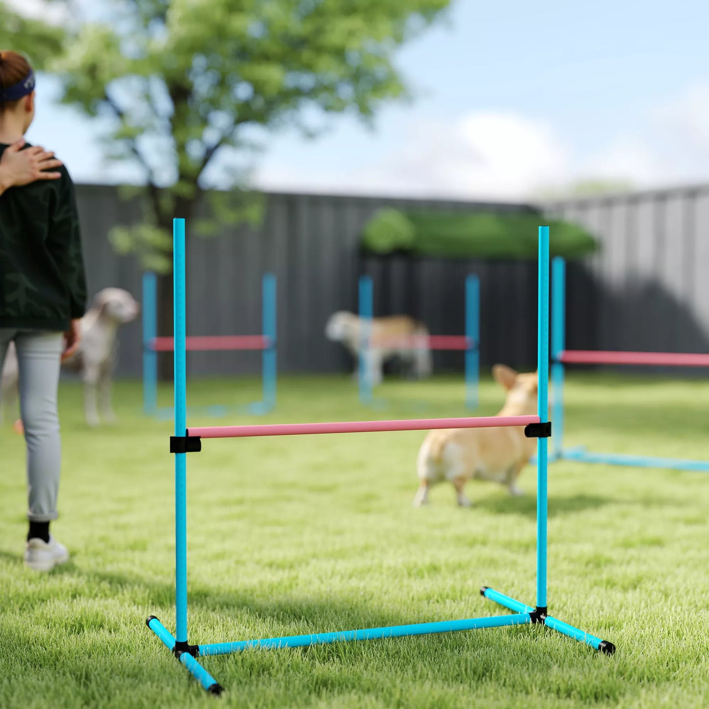 Agility rinkinys šunims 4 dalių aukščio reguliuojama agility įranga su 4 kliūtimis Nešimo krepšys 99 x 65 x 94 cm Šviesiai mėlyna