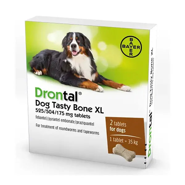 Drontal Dog flavour XL dideliems šunims, N2