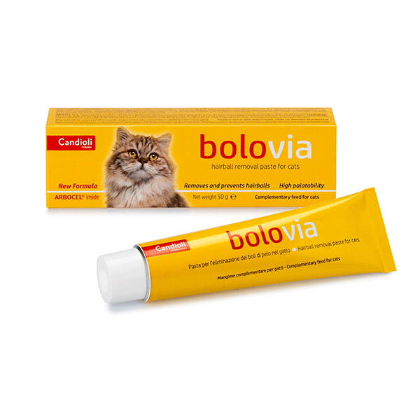 Candioli Bolo Via pasta nuo plaukų kamuoliukų katėms, 50 g