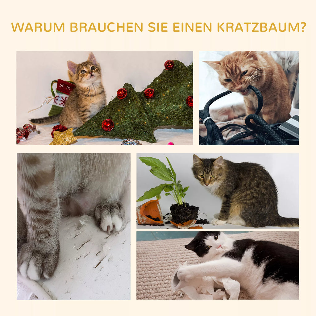Kaķu skrāpējamais stabs 240–260 cm, griestu augstums, liels skrāpējamais stabs, kaķu kāpšanas koks, liels kaķu skrāpējamais stabs ar sizala virvi, gaiši pelēks