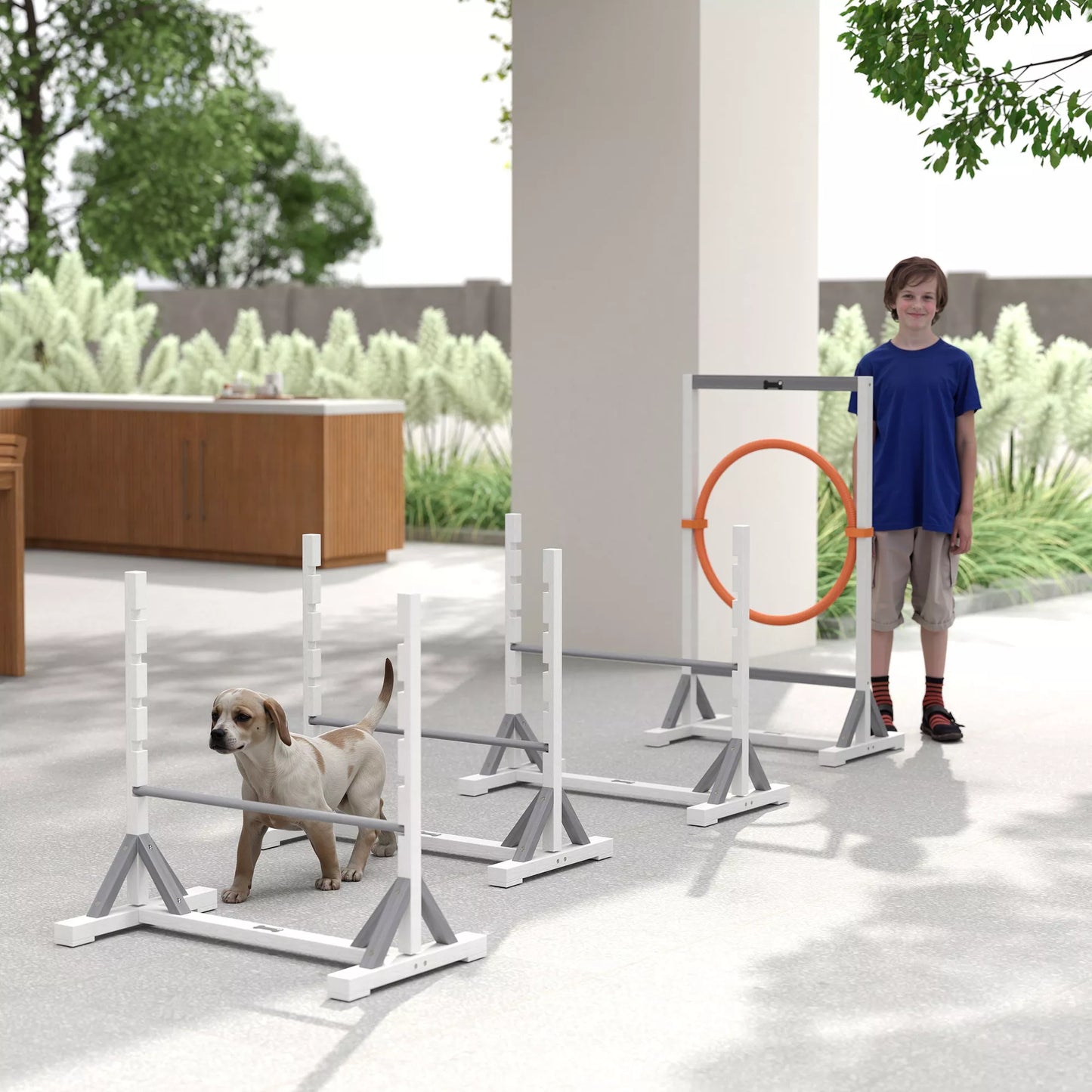 Agility rinkinys šunims, 4 dalių dresūros įranga su aukščio reguliuojamomis kliūtimis ir lanku, baltas