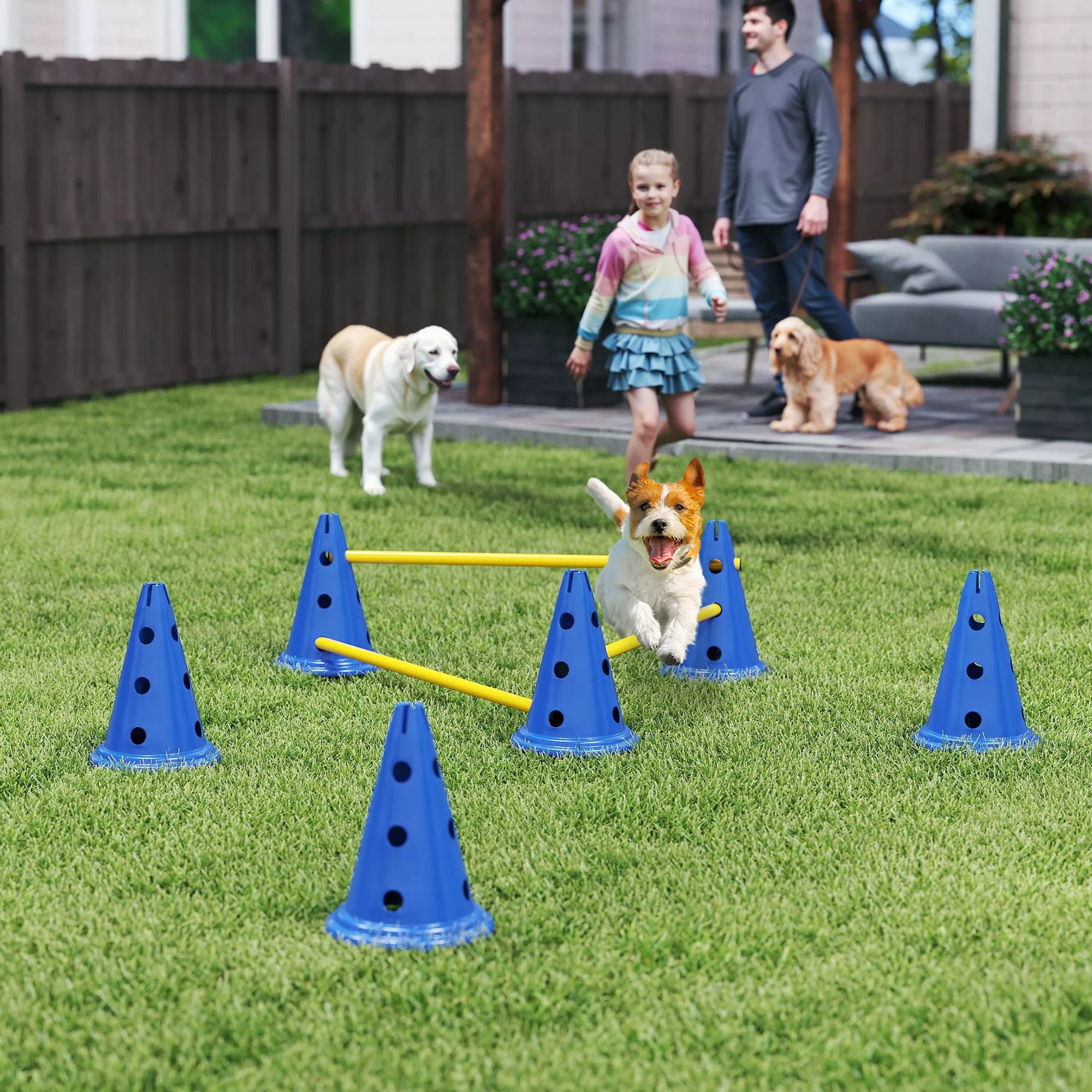 Agility rinkinys šunims 3 dalių agility įranga šunų dresūrai Stumiamų kliūčių rinkinys su 6 kūgiais 3 kliūtys Nešimo krepšys