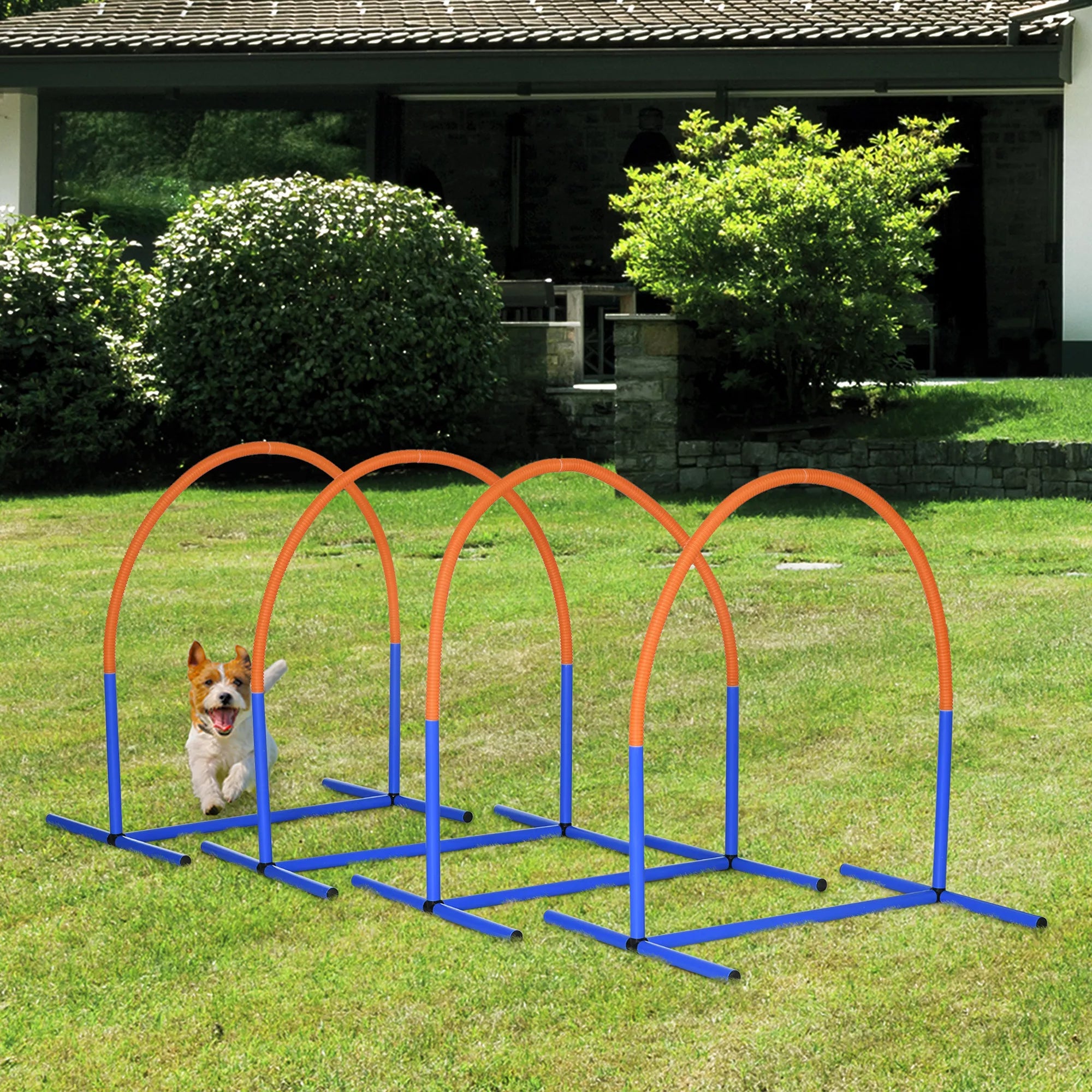 Agility rinkinys šunims, šunų dresūrai, 4 lankai, pradedantiesiems, su nešiojimo krepšiu, mėlyna+oranžinė, 88 x 64 x 95cm