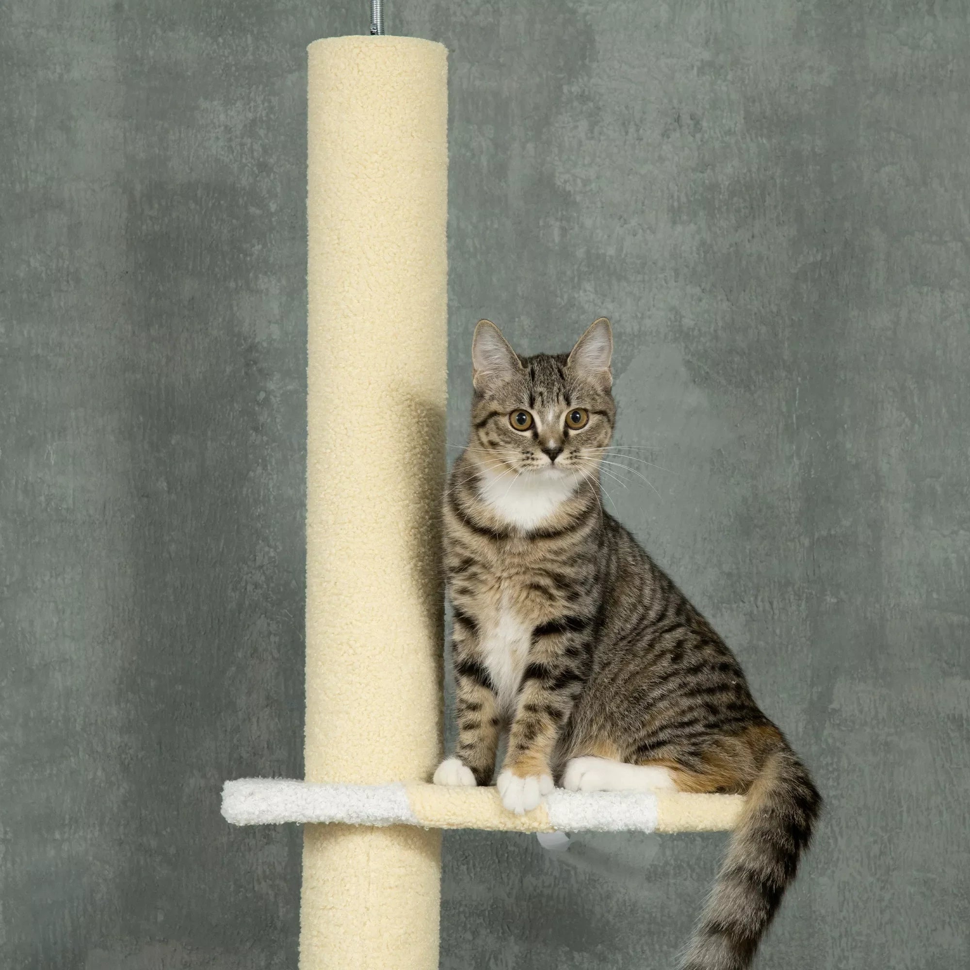 Kaķu mājiņa ar regulējamu augstumu, neslīdoša, ar sizala virvēm pārklātiem stabiem, augstums 220–260 cm, platums 47 cm, dziļums 34 cm, dzeltena/balta/zila