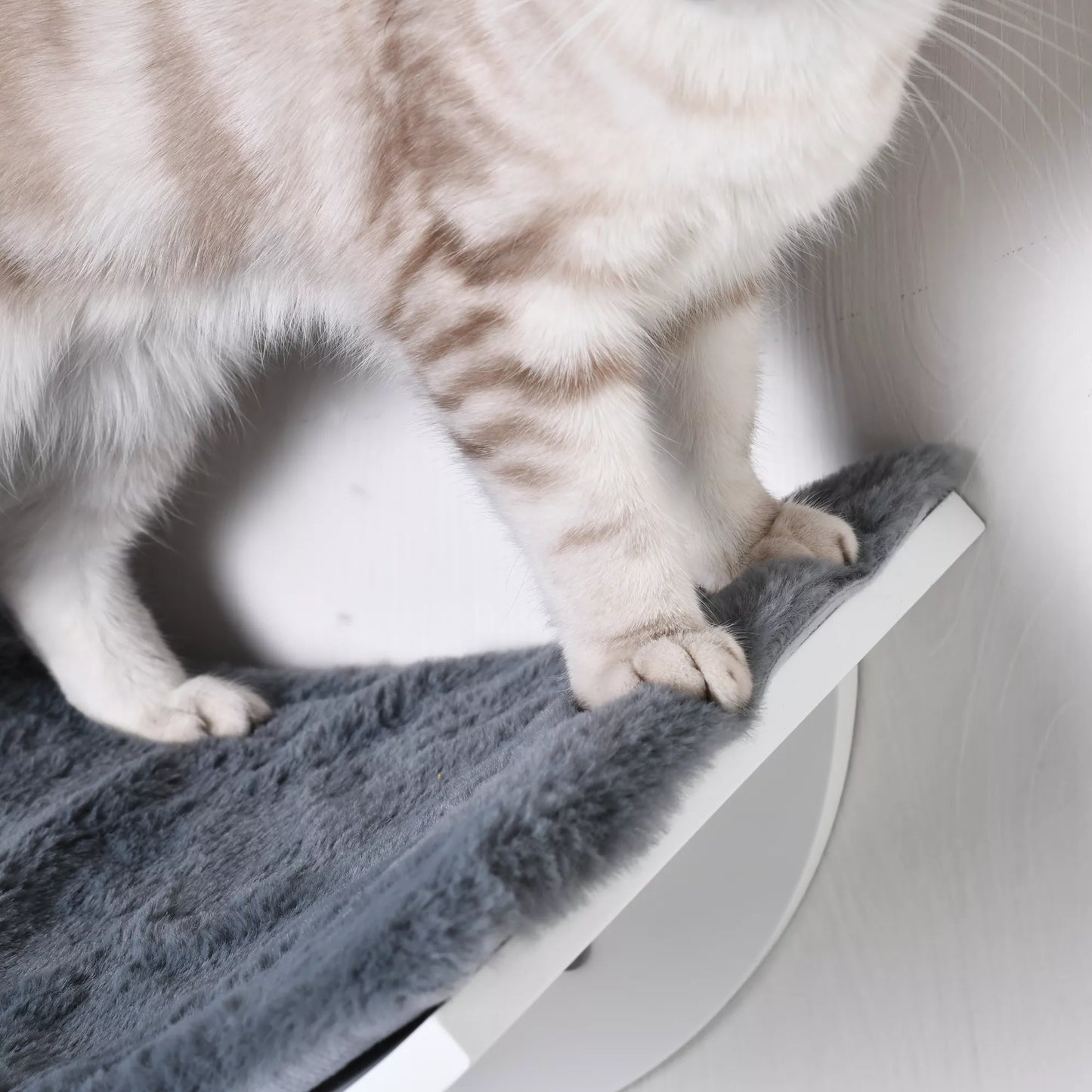 Cat bed on the wall, cat shelf with plush padding, gray, 41 x 28 x 21 cm