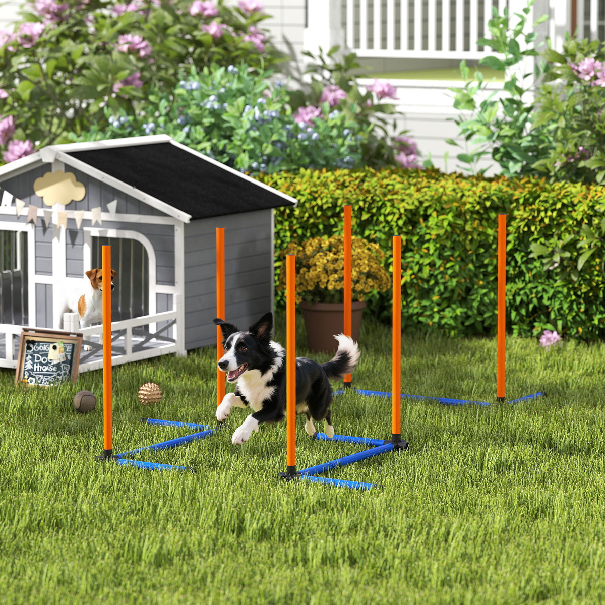 Agility slalomo stulpų rinkinys šunims, 3 dalių, su krepšiu, visų dydžių šunims, oranžinis