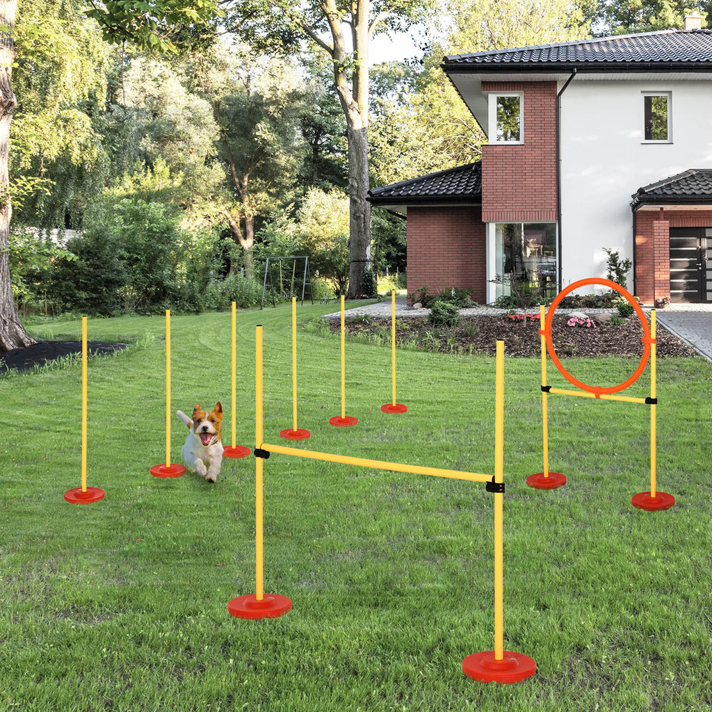 Agility rinkinys šunims, 3 dalių dresūros įranga šunims, vertikalus barjerų rinkinys su 6 slalomo kartimis, reguliuojamo aukščio barjerais, šuolių lanku, transportavimo krepšiu – Agility rinkinys žaidimams ir dresūrai