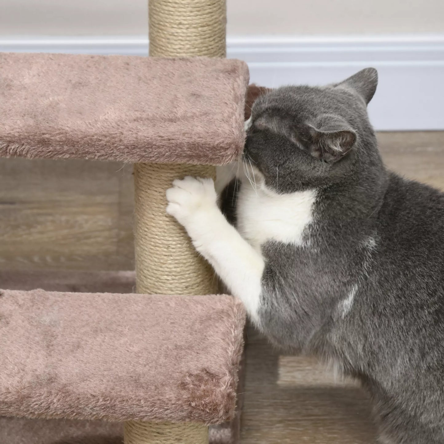 Kačių draskyklė, augintinio laipteliai, 3 pakopos, žaidimo kamuoliukas, iki 5 kg, 45x40x48cm, ruda