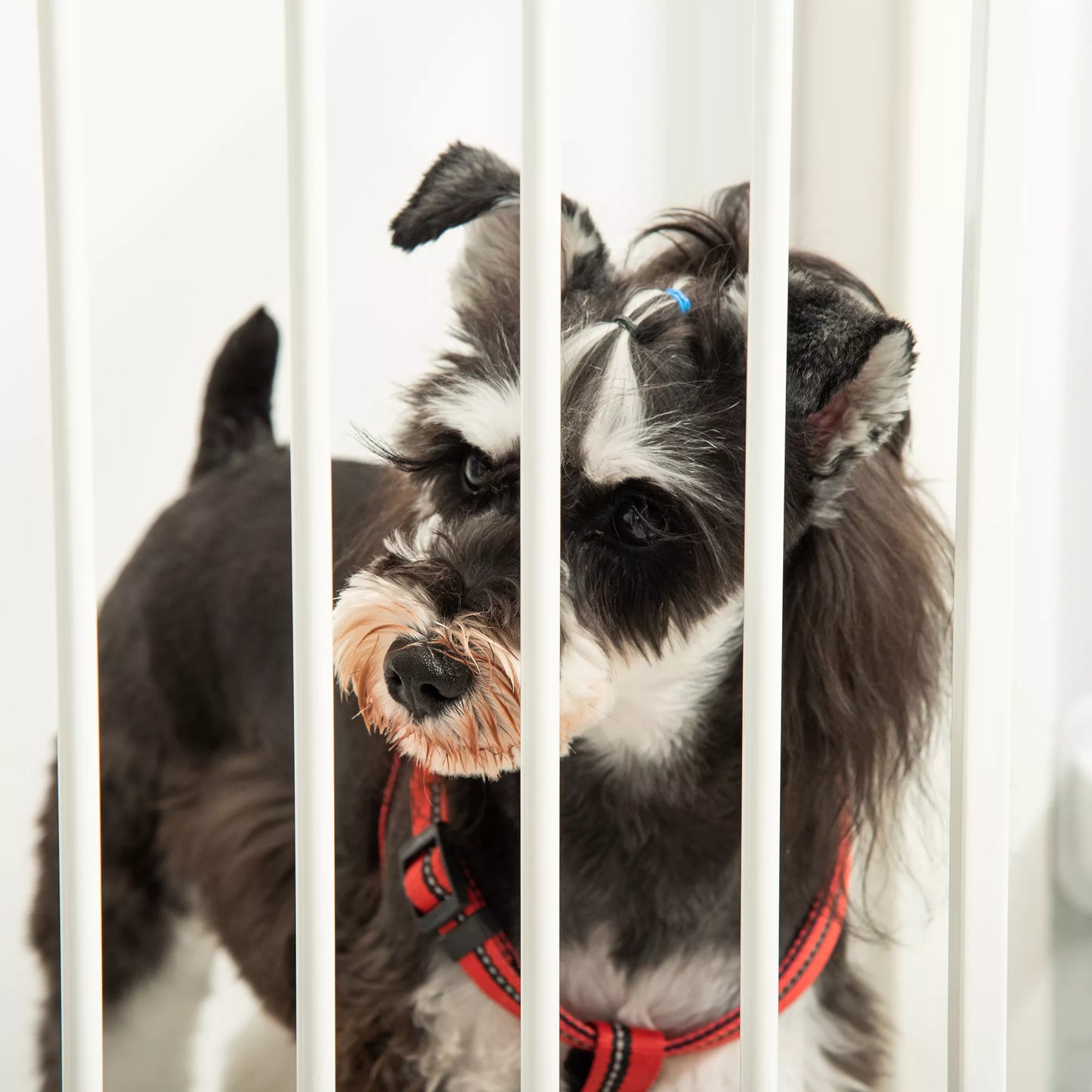 Šunų apsauginė tvorelė, durų ir naminių gyvūnėlių apsaugos tvorelė, reguliuojama, sulankstoma, židinių tvorelė su automatiškai užsidarančiomis durelėmis, 3 skydeliai, skirta krosnelei, montuojama prie sienos/pastatoma laisvai, balta, 202,5 x 76 cm