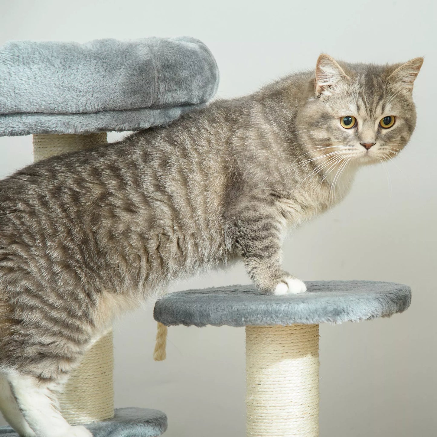 Kačių medis su hamaku, 3 pakopų žaidimų medis su katės guoliu, kačių draskyklė su sėdimąja platforma, sizaliniai stulpai, pilkos spalvos Ø40 x H65 cm