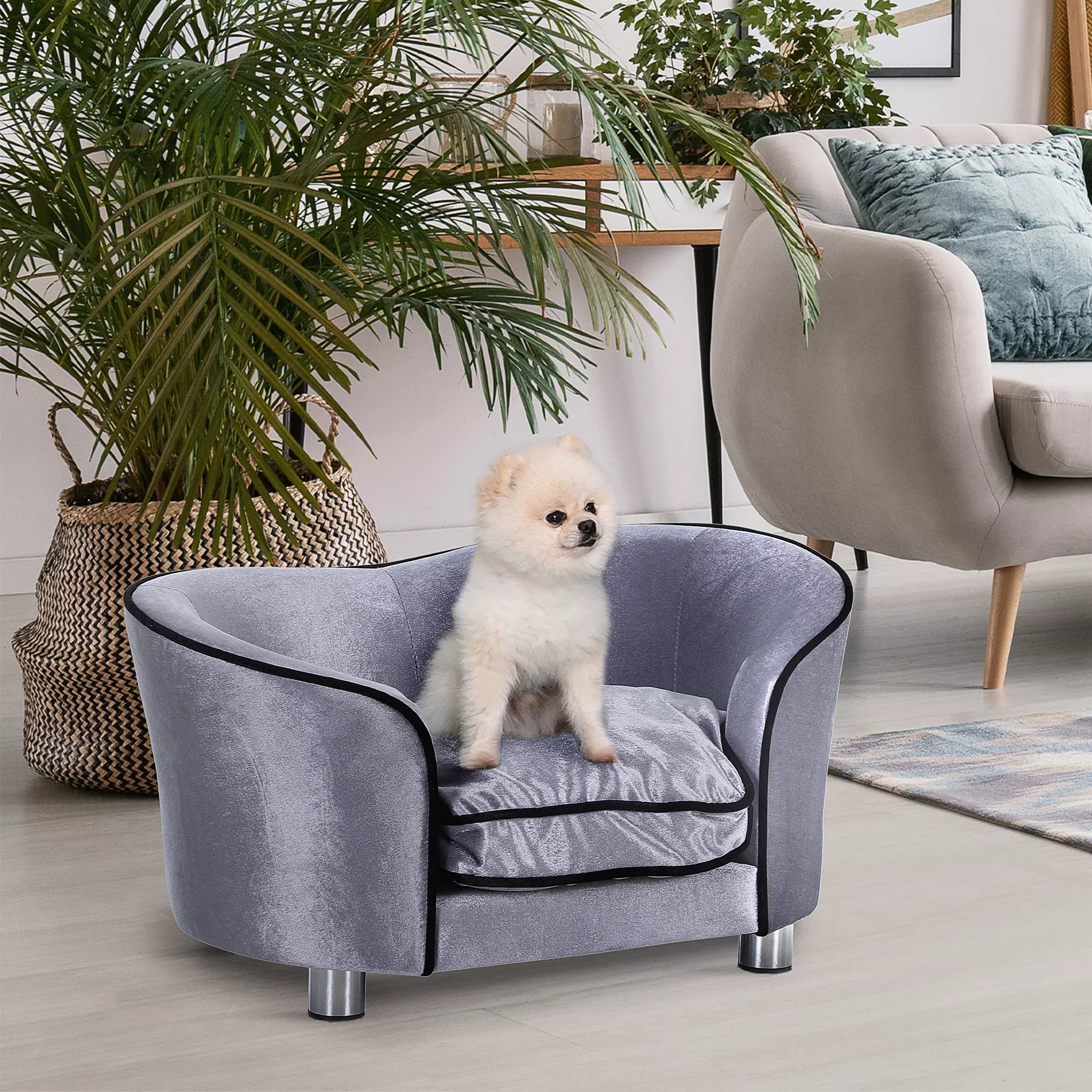 Šunų sofa, šunų lovelė, skalbiama sėdimoji pagalvėlė, pliušinis užvalkalas, natūralaus medžio rėmas, šviesiai pilka, 69 x 49 x 38cm