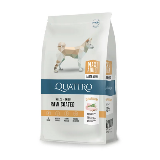 Quattro Maxi Poultry Adult Sausas pašaras didžiųjų veislių šunims su paukštiena