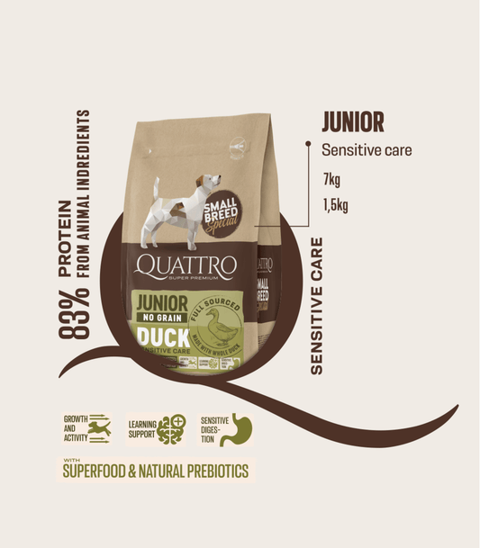 Quattro Small Breed Junior Sausas pašaras jauniems mažų veislių šunims su antiena