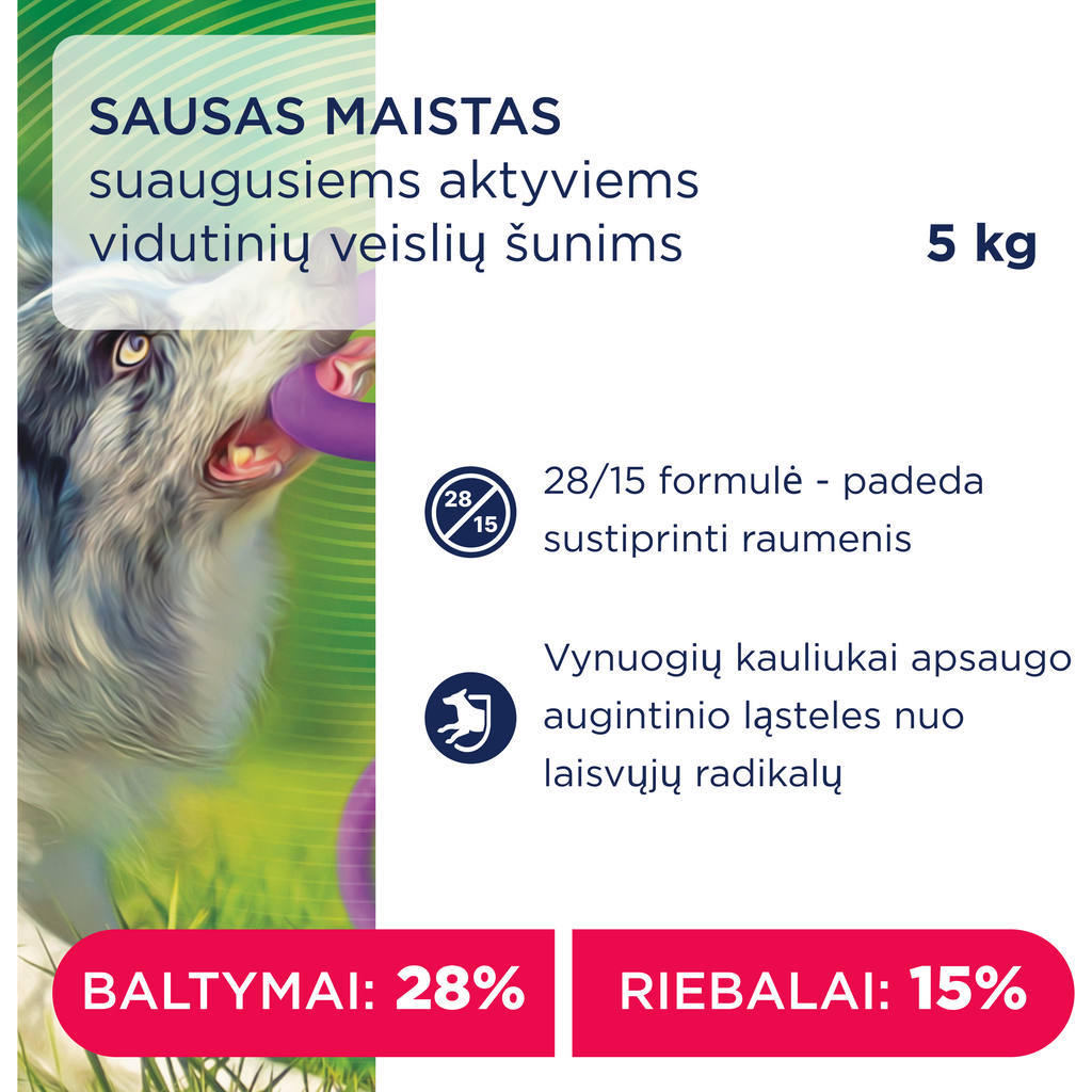 CLUB 4 PAWS Premium "active". Pilnvērtīga barība pieaugušiem aktīviem vidējās šķirnes suņiem