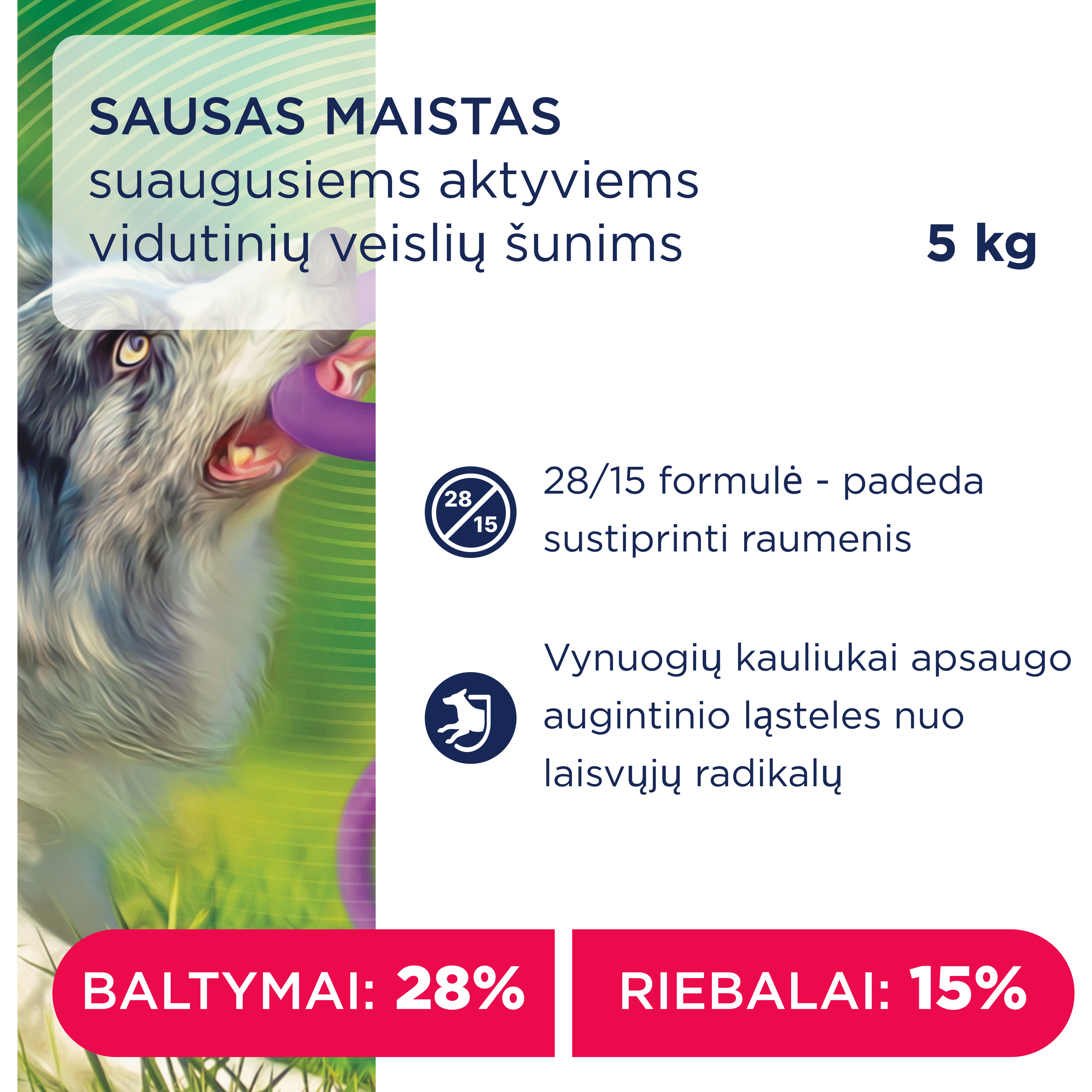 CLUB 4 PAWS Premium "active". Pilnvērtīga barība pieaugušiem aktīviem vidējās šķirnes suņiem