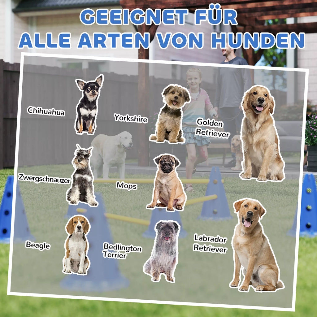 Agility rinkinys šunims 3 dalių agility įranga šunų dresūrai Stumiamų kliūčių rinkinys su 6 kūgiais 3 kliūtys Nešimo krepšys