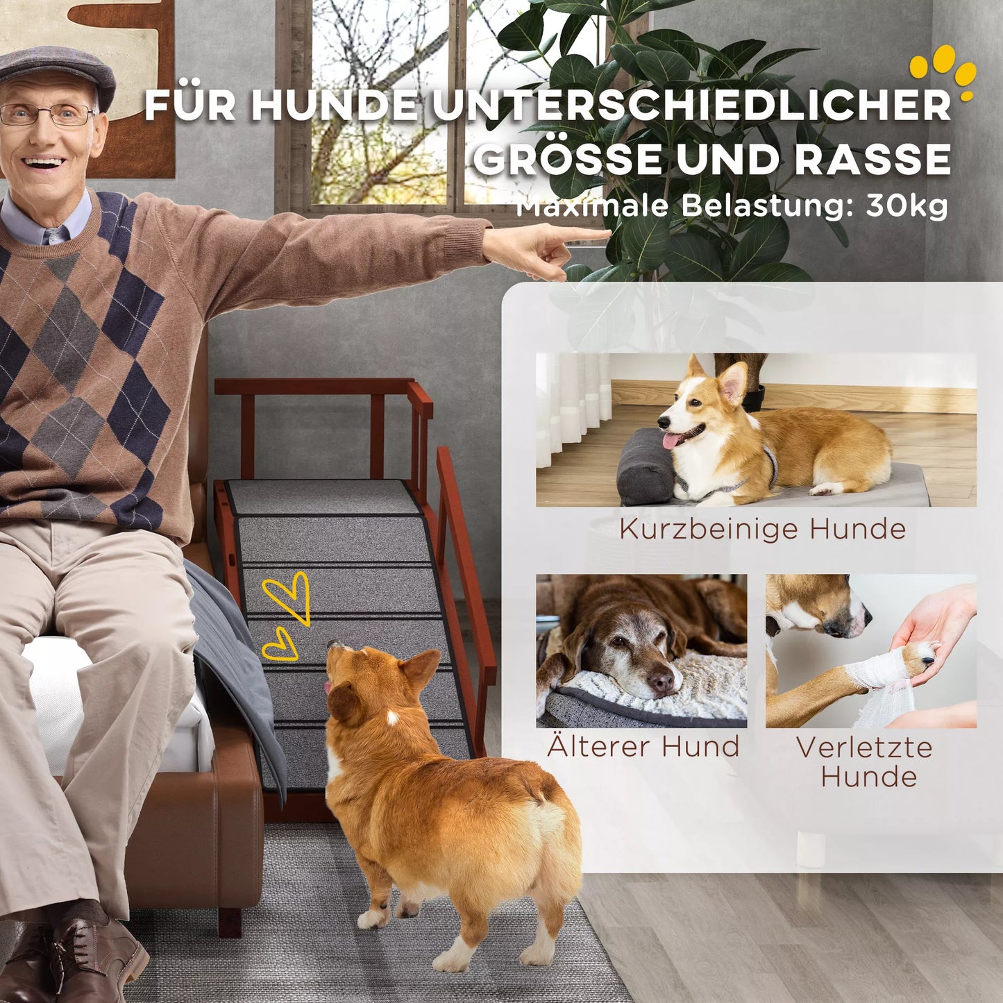 Šunų rampa, nuimami turėklai, neslidūs, mediniai, iki 30 kg, 125x40x56 cm, rudi/pilki