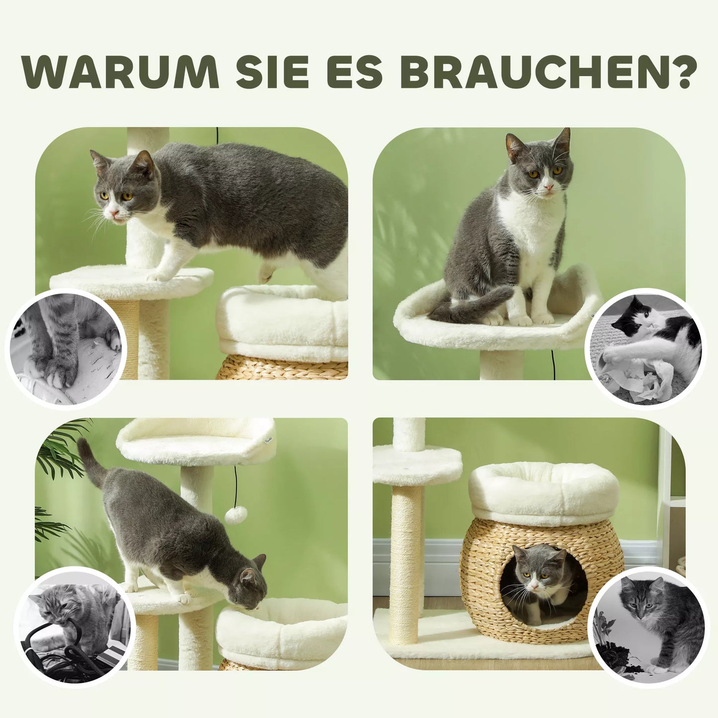 Draskyklė katėms su nameliu, guoliu, žaidimų kamuoliuku ir platforma, 79 cm, kreminė balta