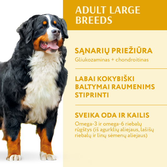 visavertis sausas pašaras didelių veislių šunims su vištiena nauda