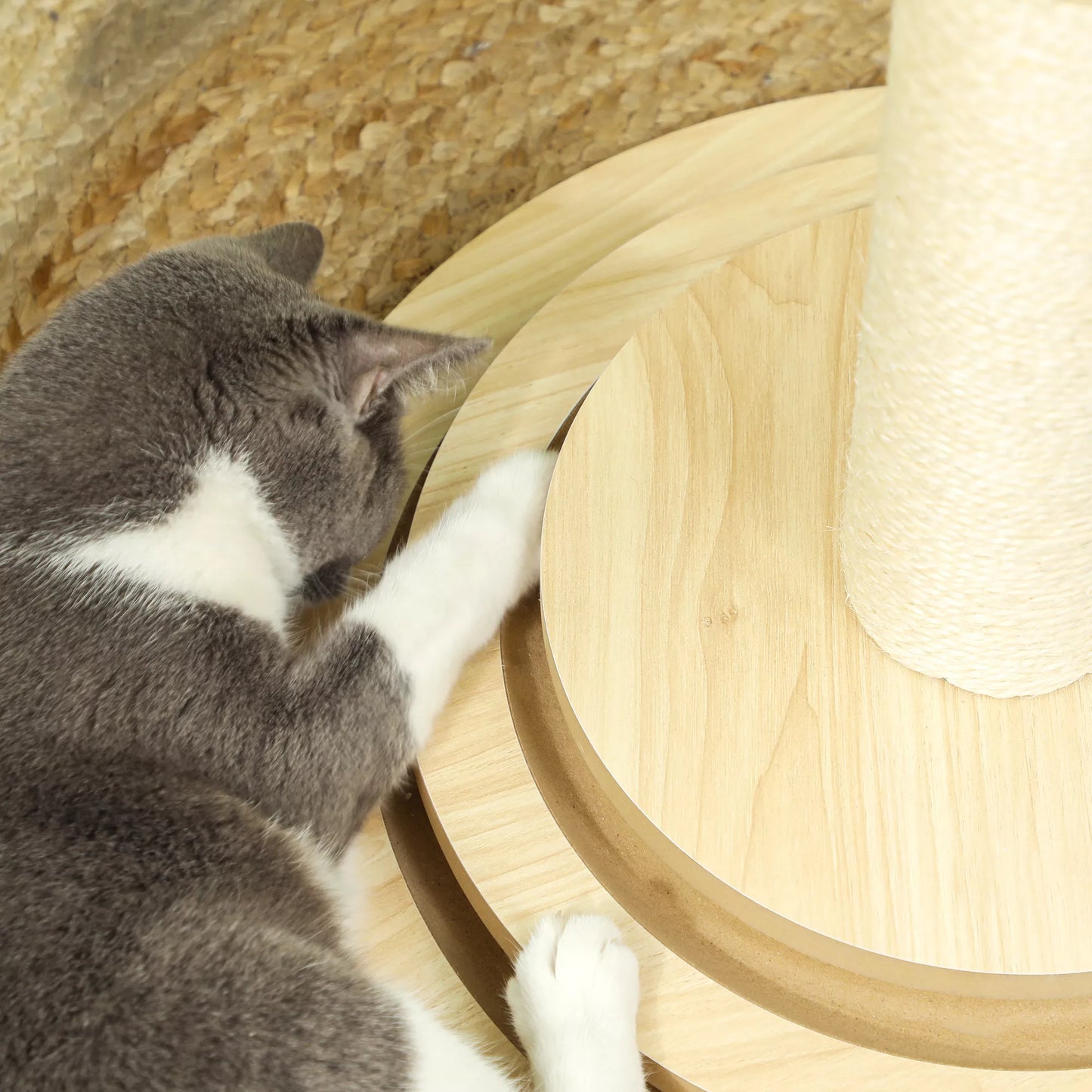 Katės draskyklė, 69 cm, su sizalio draskymo stulpeliu, kamuoliukų takeliu, žaidimo kamuoliuku, žaidimo plunksnele, 4 viename dizainas, kreminės baltos spalvos